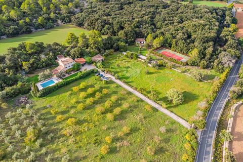Finca i Pollenca, Mallorca, Pollenca - € 9.000.000 | Ref: FALC-Nep-62403 - foto 39
