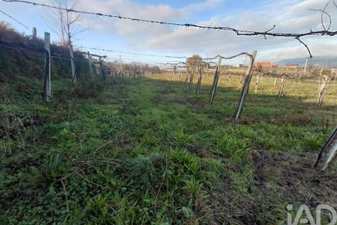 Terra a Moncao, Viana do Castelo, Moncao - € 110.000 | Ref: 799575 - foto 2