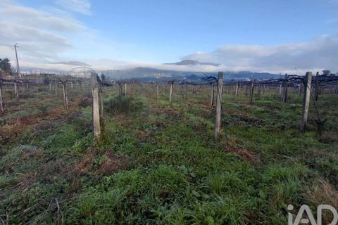 Terra a Moncao, Viana do Castelo, Moncao - € 110.000 | Ref: 799575 - foto 3
