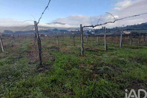 Terra a Moncao, Viana do Castelo, Moncao - € 110.000 | Ref: 799575 - foto 4
