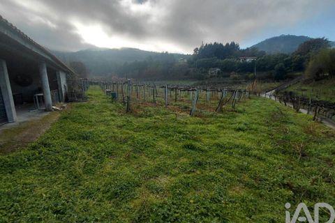Terra a Moncao, Viana do Castelo, Moncao - € 55.000 | Ref: 798707 - foto 2
