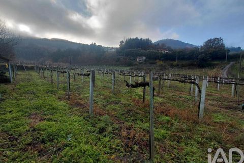 Terra a Moncao, Viana do Castelo, Moncao - € 55.000 | Ref: 798707 - foto 3