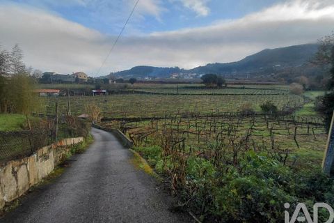 Terra a Moncao, Viana do Castelo, Moncao - € 55.000 | Ref: 798707 - foto 4