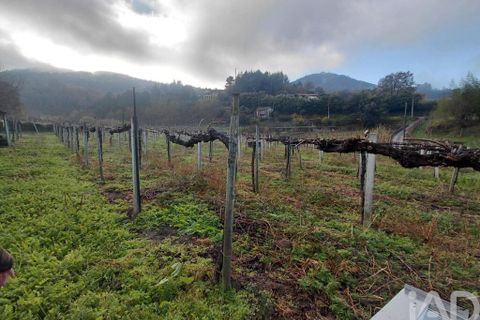 Terra a Moncao, Viana do Castelo, Moncao - € 55.000 | Ref: 798707 - foto 5