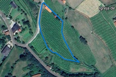Terra a Moncao, Viana do Castelo, Moncao - € 55.000 | Ref: 798707 - foto 6