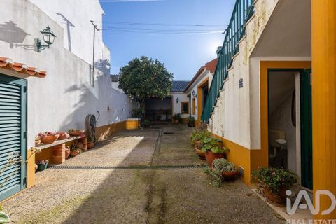 Byhus i Golega, Santarem, Golega - € 445.000 | Ref: 795195 - foto 28