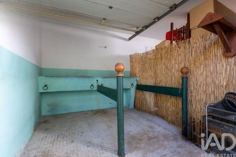 Byhus i Golega, Santarem, Golega - € 445.000 | Ref: 795195 - foto 30