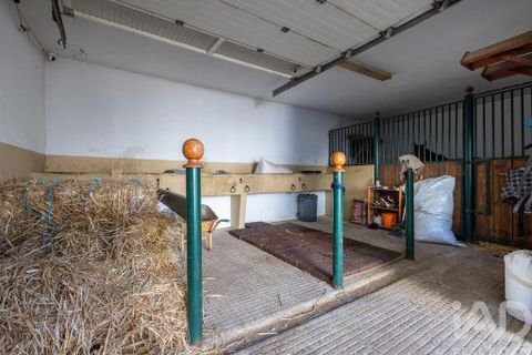 Byhus i Golega, Santarem, Golega - € 445.000 | Ref: 795195 - foto 27