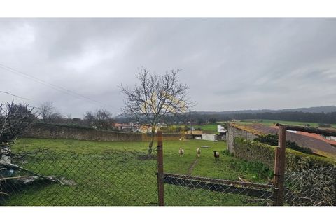 Villa i Terroso, Porto, Terroso - € 530.000 | Ref: TC-00128 - foto 40