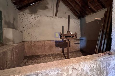Farm hus i Manique do Intendente, Lisbon, Manique do Intendente - € 150.000 | Ref: ALVER-216723 - foto 6
