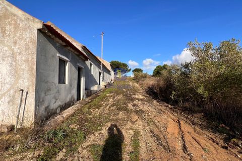 Farm hus i Manique do Intendente, Lisbon, Manique do Intendente - € 150.000 | Ref: ALVER-216723 - foto 14