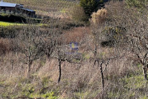 Farm hus i Manique do Intendente, Lisbon, Manique do Intendente - € 150.000 | Ref: ALVER-216723 - foto 17