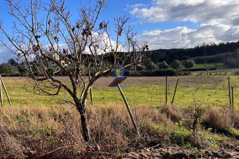 Farm hus i Manique do Intendente, Lisbon, Manique do Intendente - € 150.000 | Ref: ALVER-216723 - foto 20