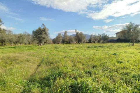 Helårsgrund i Ponte de Lima, Viana do Castelo, Ponte de Lima - € 680.000 | Ref: 6265 - foto 2