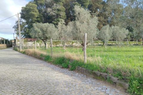 Helårsgrund i Ponte de Lima, Viana do Castelo, Ponte de Lima - € 680.000 | Ref: 6265 - foto 5
