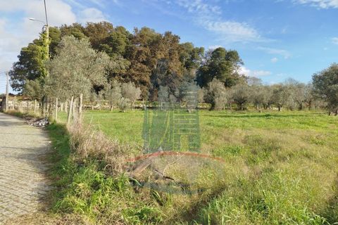 Helårsgrund i Ponte de Lima, Viana do Castelo, Ponte de Lima - € 680.000 | Ref: 6265 - foto 7