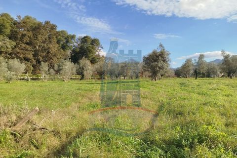 Helårsgrund i Ponte de Lima, Viana do Castelo, Ponte de Lima - € 680.000 | Ref: 6265 - foto 8