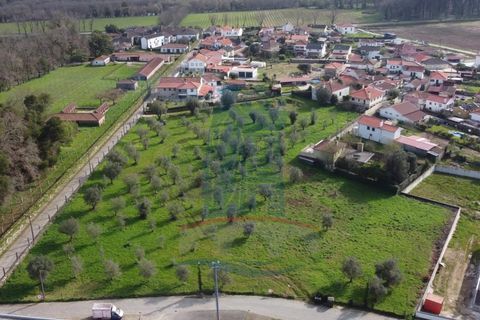 Helårsgrund i Ponte de Lima, Viana do Castelo, Ponte de Lima - € 680.000 | Ref: 6265 - foto 1