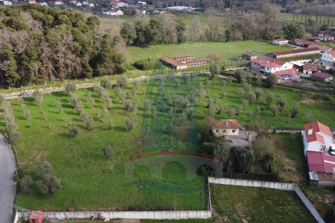 Helårsgrund i Ponte de Lima, Viana do Castelo, Ponte de Lima - € 680.000 | Ref: 6265 - foto 11