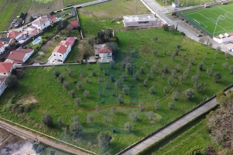 Helårsgrund i Ponte de Lima, Viana do Castelo, Ponte de Lima - € 680.000 | Ref: 6265 - foto 12