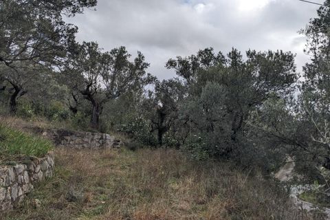 Terra a Claviers, Var, Claviers - € 132.000 | Ref: getkey_u_503141312 - foto 2