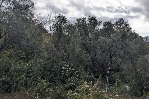 Terra a Claviers, Var, Claviers - € 132.000 | Ref: getkey_u_503141312 - foto 4