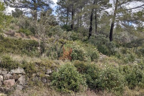 Terra a Claviers, Var, Claviers - € 132.000 | Ref: getkey_u_503141312 - foto 5