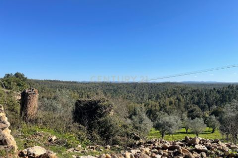 Helårsgrund i Abrantes, Santarem, Abrantes - € 32.000 | Ref: C0364-05462 - foto 12