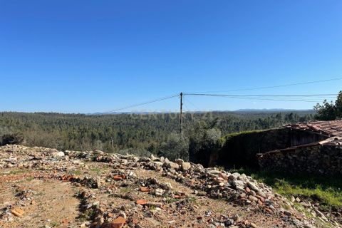 Helårsgrund i Abrantes, Santarem, Abrantes - € 32.000 | Ref: C0364-05462 - foto 13