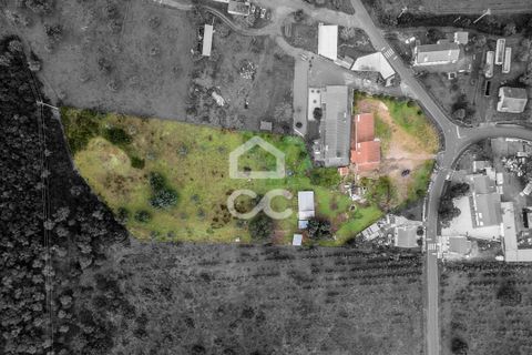 Farm hus i Estremoz, Evora, Estremoz - € 390.000 | Ref: 318/Q/03761 - foto 4