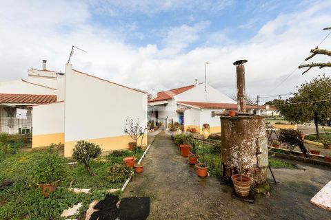 Farm hus i Estremoz, Evora, Estremoz - € 390.000 | Ref: 318/Q/03761 - foto 34