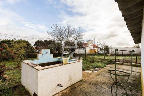 Farm hus i Estremoz, Evora, Estremoz - € 390.000 | Ref: 318/Q/03761 - foto 38