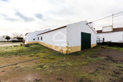 Farm hus i Estremoz, Evora, Estremoz - € 390.000 | Ref: 318/Q/03761 - foto 39