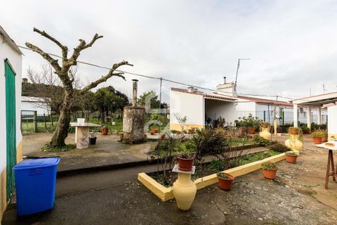 Farm hus i Estremoz, Evora, Estremoz - € 390.000 | Ref: 318/Q/03761 - foto 40