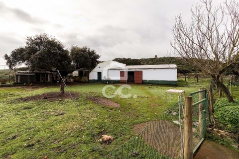 Farm hus i Estremoz, Evora, Estremoz - € 390.000 | Ref: 318/Q/03761 - foto 42