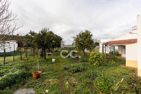 Farm hus i Estremoz, Evora, Estremoz - € 390.000 | Ref: 318/Q/03761 - foto 43