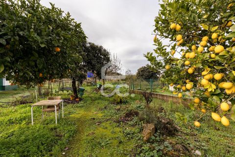 Farm hus i Estremoz, Evora, Estremoz - € 390.000 | Ref: 318/Q/03761 - foto 44