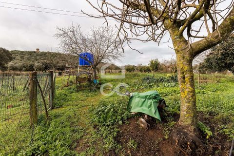 Farm hus i Estremoz, Evora, Estremoz - € 390.000 | Ref: 318/Q/03761 - foto 45