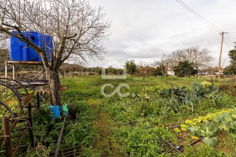 Farm hus i Estremoz, Evora, Estremoz - € 390.000 | Ref: 318/Q/03761 - foto 46