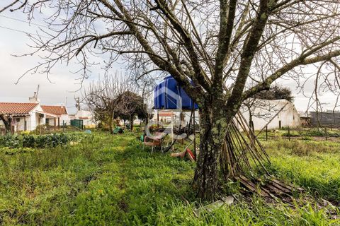 Farm hus i Estremoz, Evora, Estremoz - € 390.000 | Ref: 318/Q/03761 - foto 47