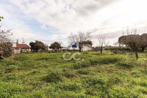 Farm hus i Estremoz, Evora, Estremoz - € 390.000 | Ref: 318/Q/03761 - foto 48