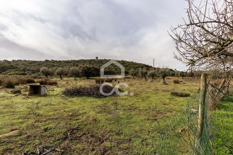Farm hus i Estremoz, Evora, Estremoz - € 390.000 | Ref: 318/Q/03761 - foto 49