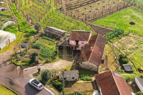 Farm i Guimaraes, Braga, Guimaraes - € 254.900 | Ref: ev-037 - foto 5