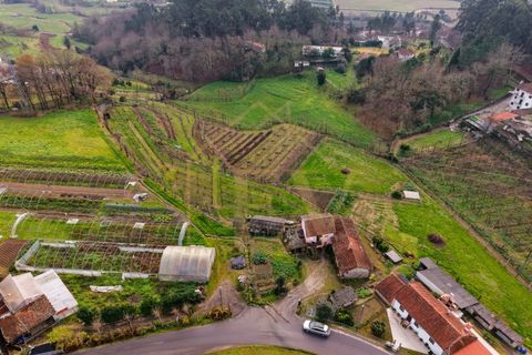 Farm i Guimaraes, Braga, Guimaraes - € 254.900 | Ref: ev-037 - foto 6
