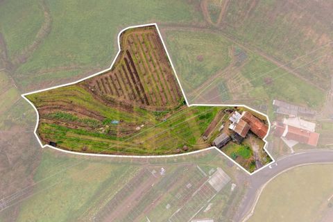 Farm i Guimaraes, Braga, Guimaraes - € 254.900 | Ref: ev-037 - foto 23