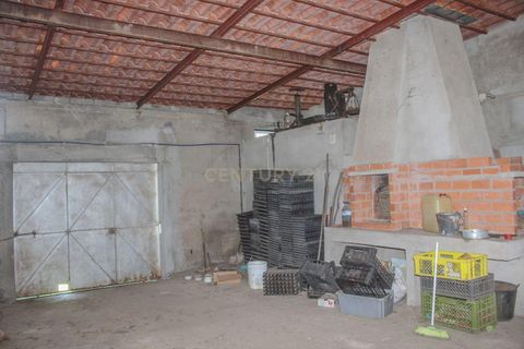 Farm hus i Castelo Branco, Castelo Branco, Castelo Branco - € 219.500 | Ref: C0372-01444 - foto 12