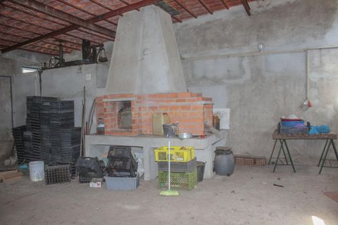Farm hus i Castelo Branco, Castelo Branco, Castelo Branco - € 219.500 | Ref: C0372-01444 - foto 15