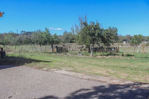 Farm hus i Castelo Branco, Castelo Branco, Castelo Branco - € 219.500 | Ref: C0372-01444 - foto 18
