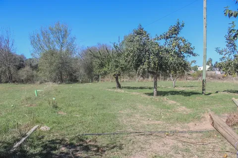 Farm hus i Castelo Branco, Castelo Branco, Castelo Branco - € 219.500 | Ref: C0372-01444 - foto 20