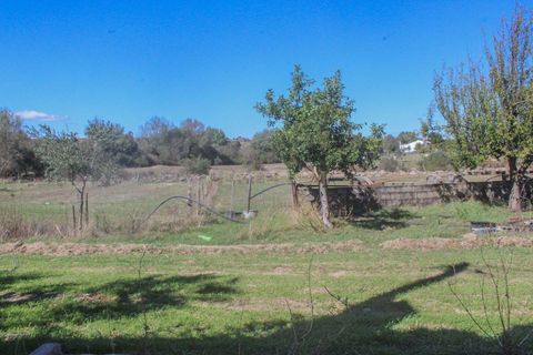 Farm hus i Castelo Branco, Castelo Branco, Castelo Branco - € 219.500 | Ref: C0372-01444 - foto 21